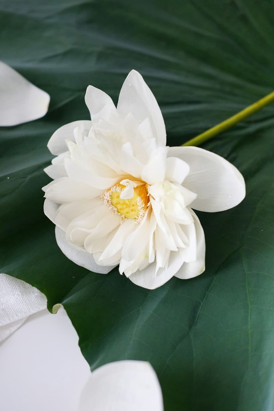 更多医疗机构将完善无障碍环境建设